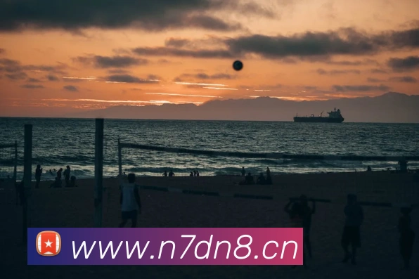 letou最新官网平台生态图